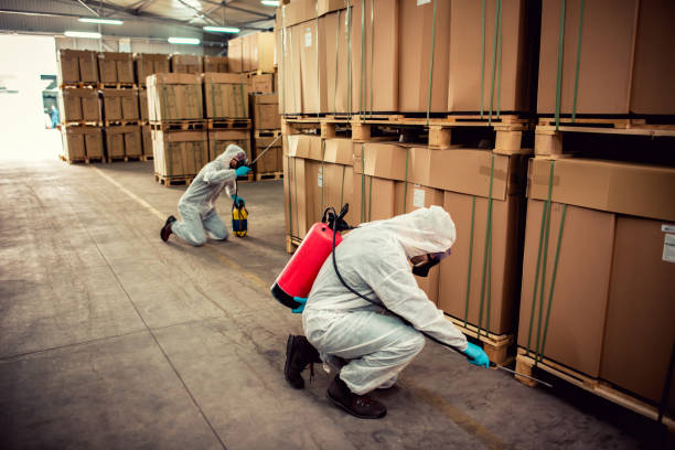 Reliable Hampton Bays, NY Pest Control Solutions