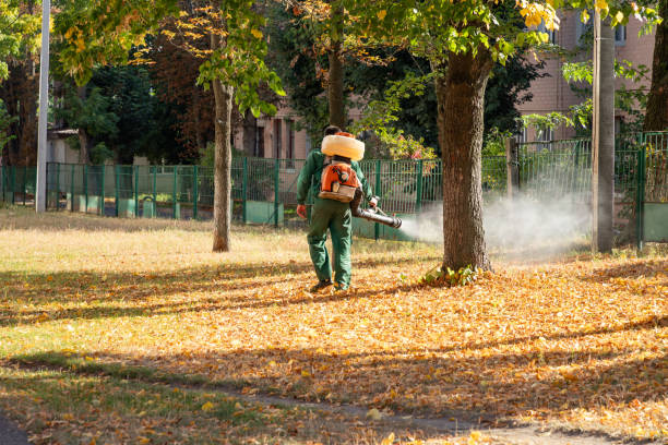 Pest Control for Restaurants in Hampton Bays, NY