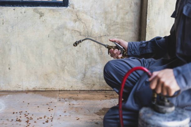 Best Pest Removal Services  in Hampton Bays, NY