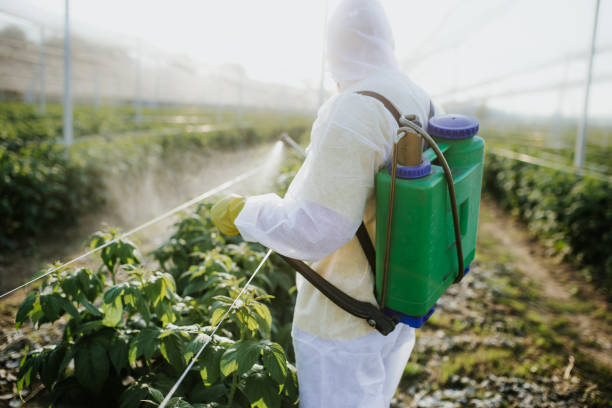 Best Mosquito Control Services  in Hampton Bays, NY